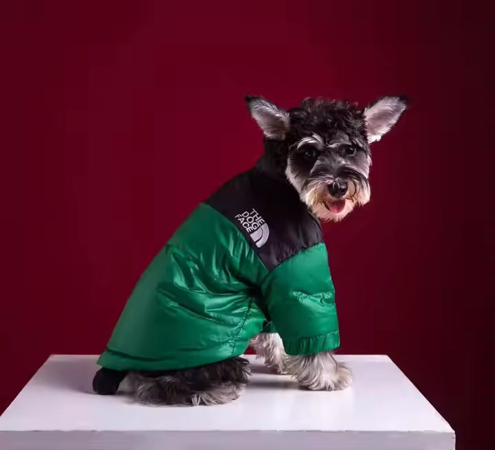 Veste d'Hiver RoyalPaws™ – Style & Confort pour votre compagnon