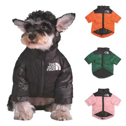 Veste d'Hiver RoyalPaws™ – Style & Confort pour votre compagnon